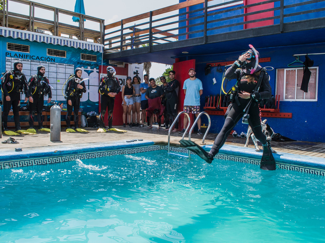 Buceo Pichidangui Dive Center-Pichidangui必去景点