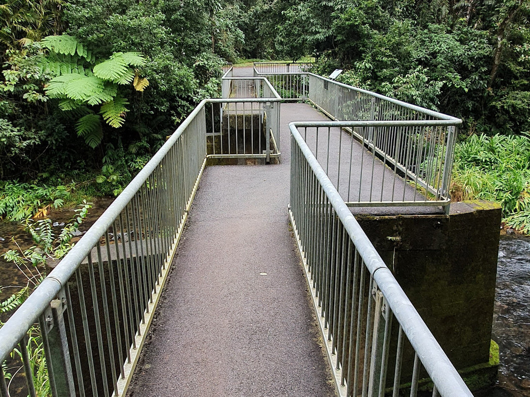 Henrietta Camp Ground-Herberton必去景点