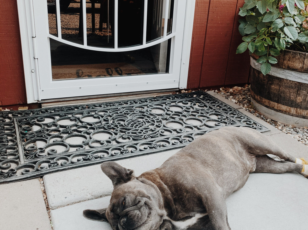 Mesa Park Fruit Co.-Palisade必去景点