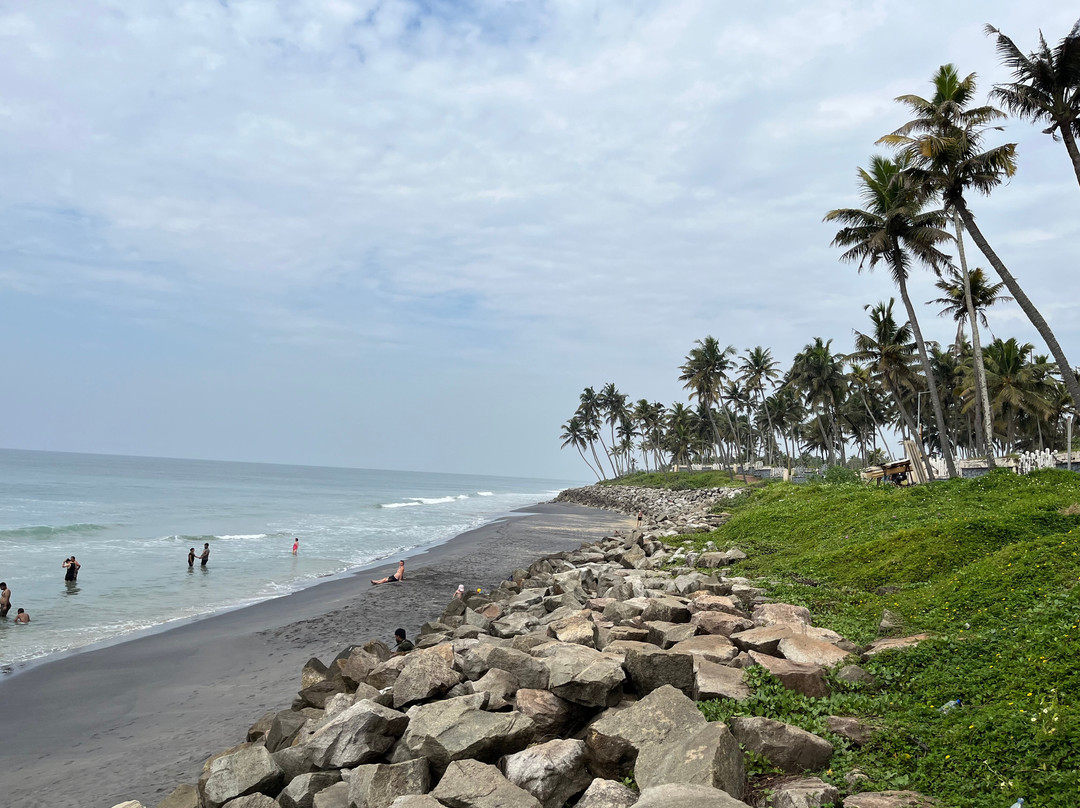 Black Sand Beach景点图片