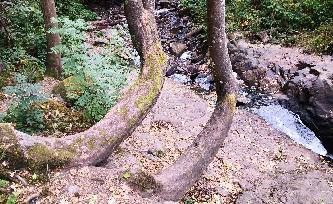 Gorges de Narvau-Lormes必去景点