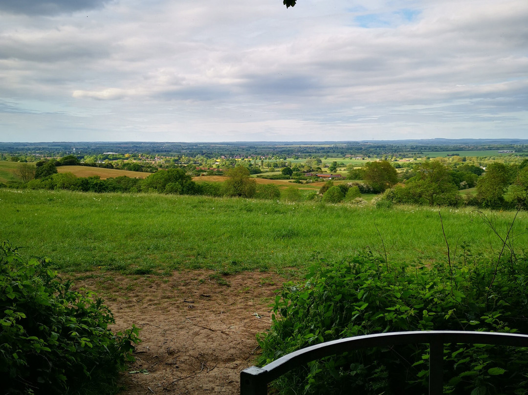 Hartshill Hayes Country Park-纽尼顿必去景点