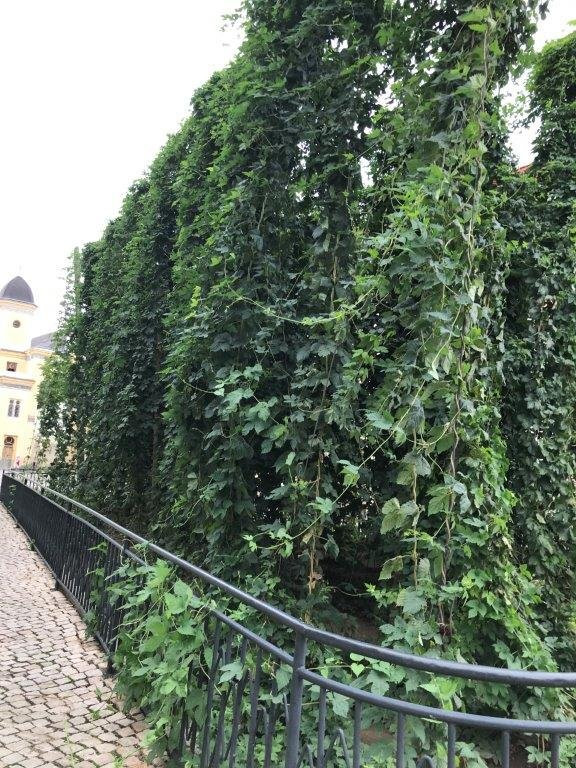 Chmelnička-Zatec必去景点