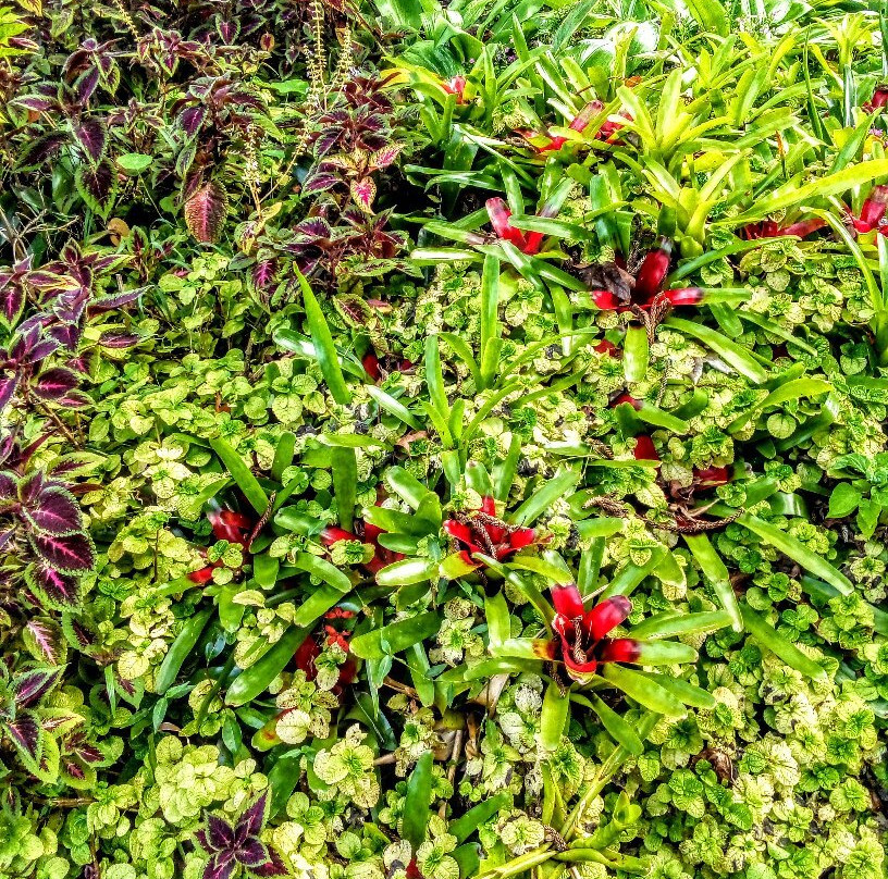 Yungaburra Visitor Information Centre-Yungaburra必去景点