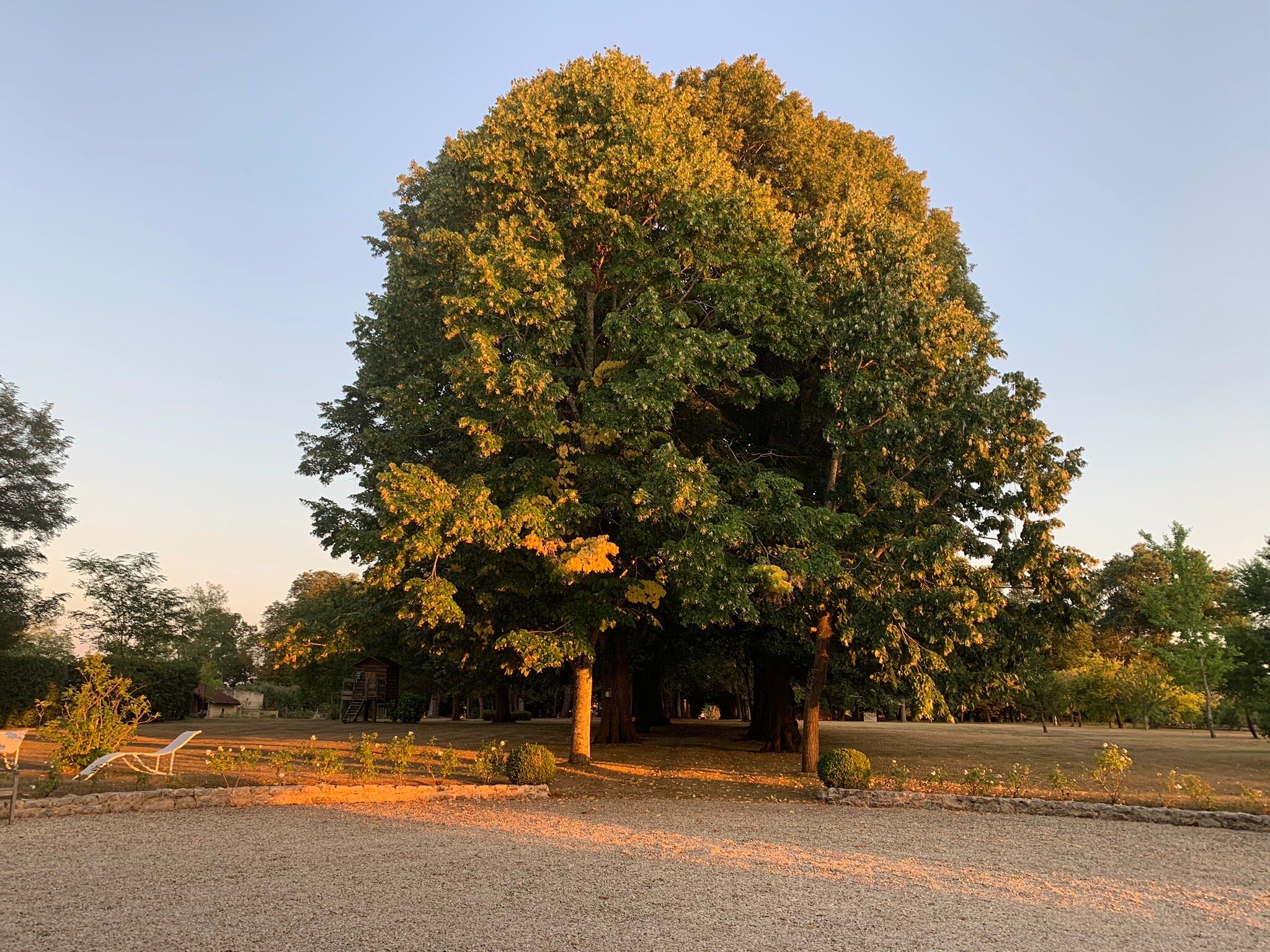 Chateau Manoir De La Leche-官方