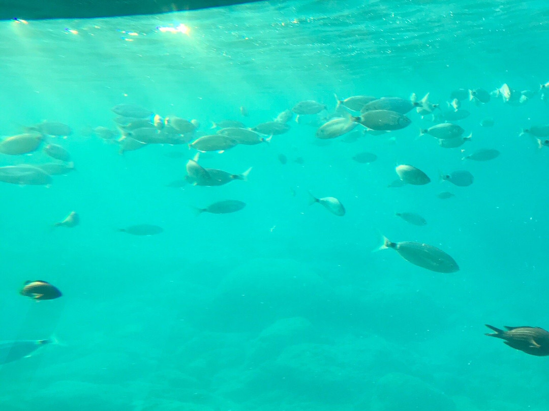 The Yellow Submarine-Ladiko必去景点