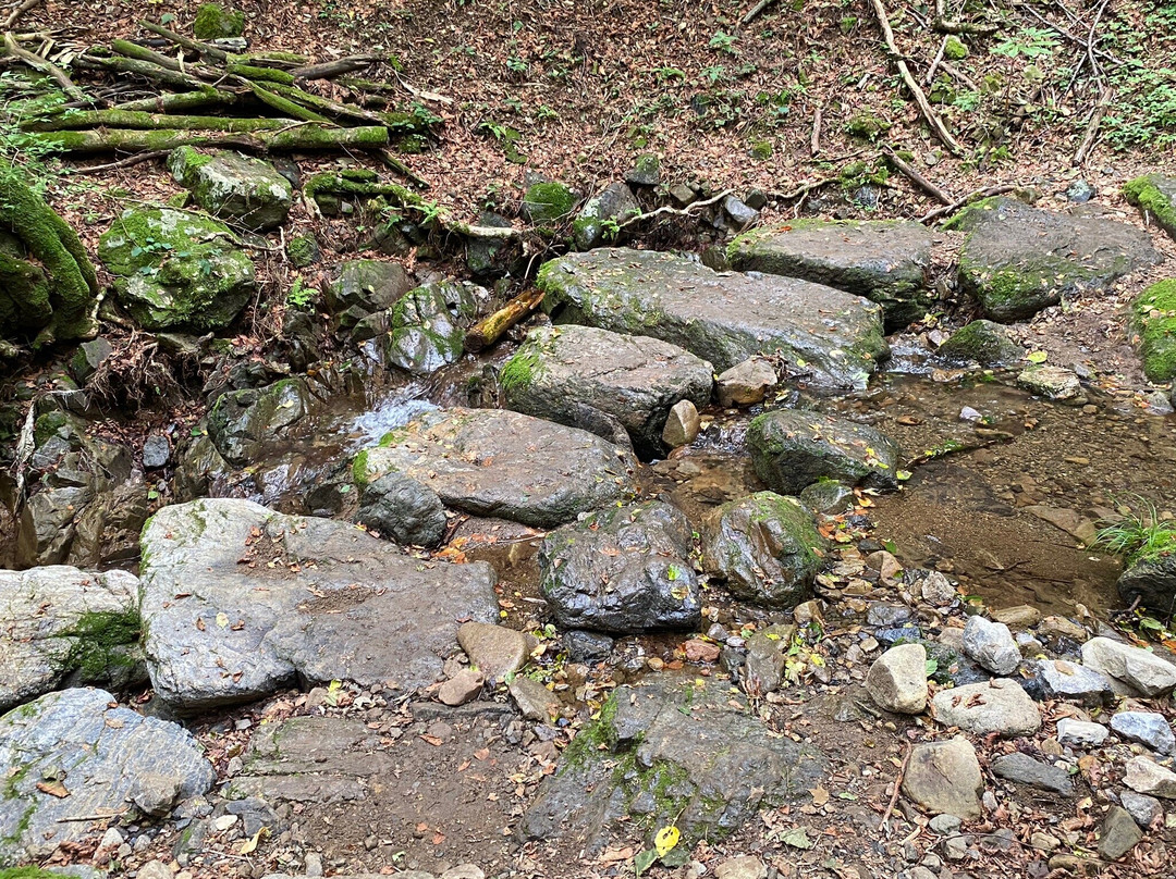 Rock Garden-青梅市必去景点