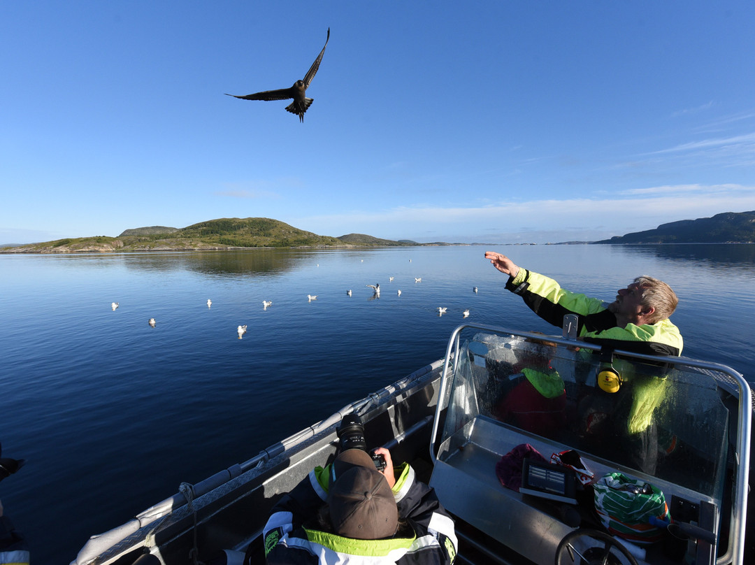 Norway Nature景点图片