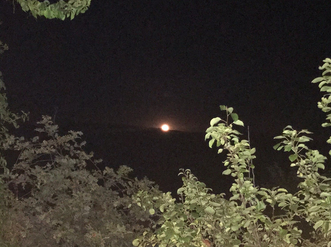 El Huerto del abuelo主图