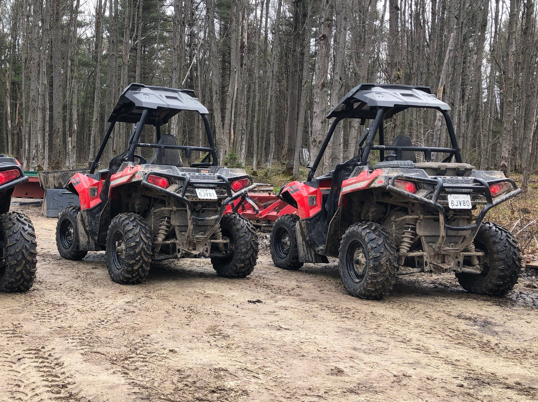 ATV Adventure Tours-科林伍德必去景点