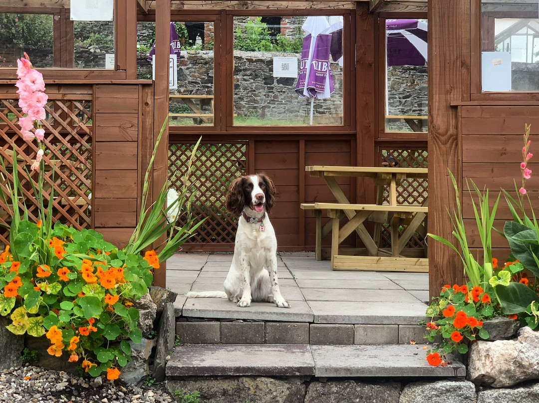 Two Bridges Inn-索尔塔什必去景点