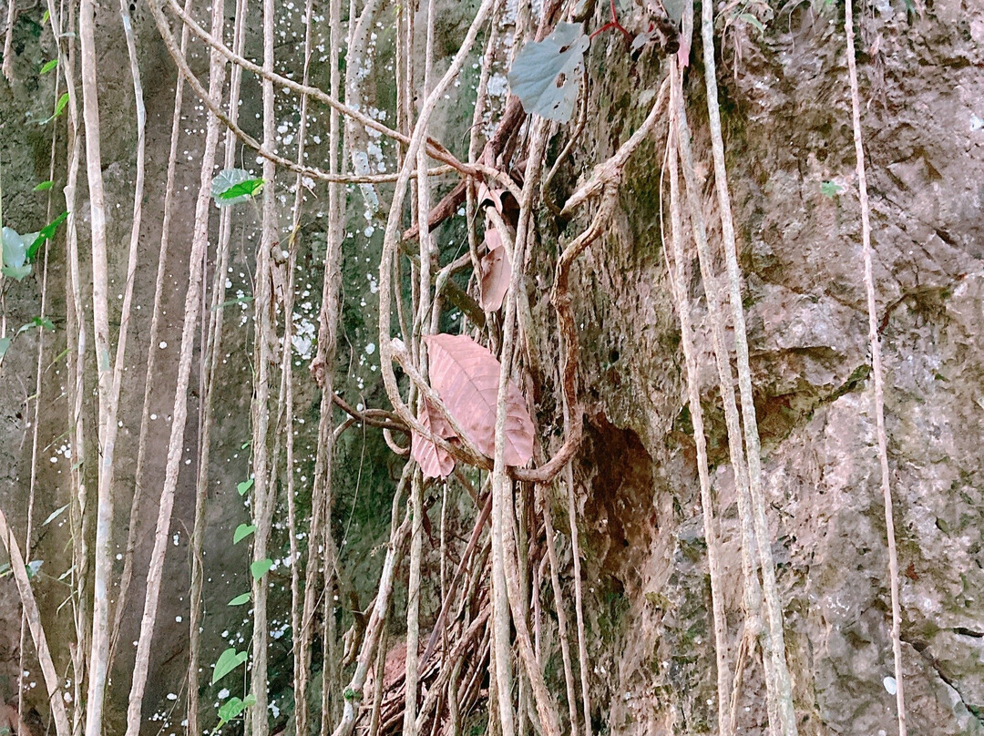Thamma Park (Ban Khao Na Nai)-干莎必去景点