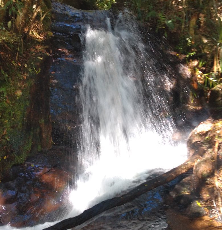 Ecopia Resort-Paraisopolis必去景点