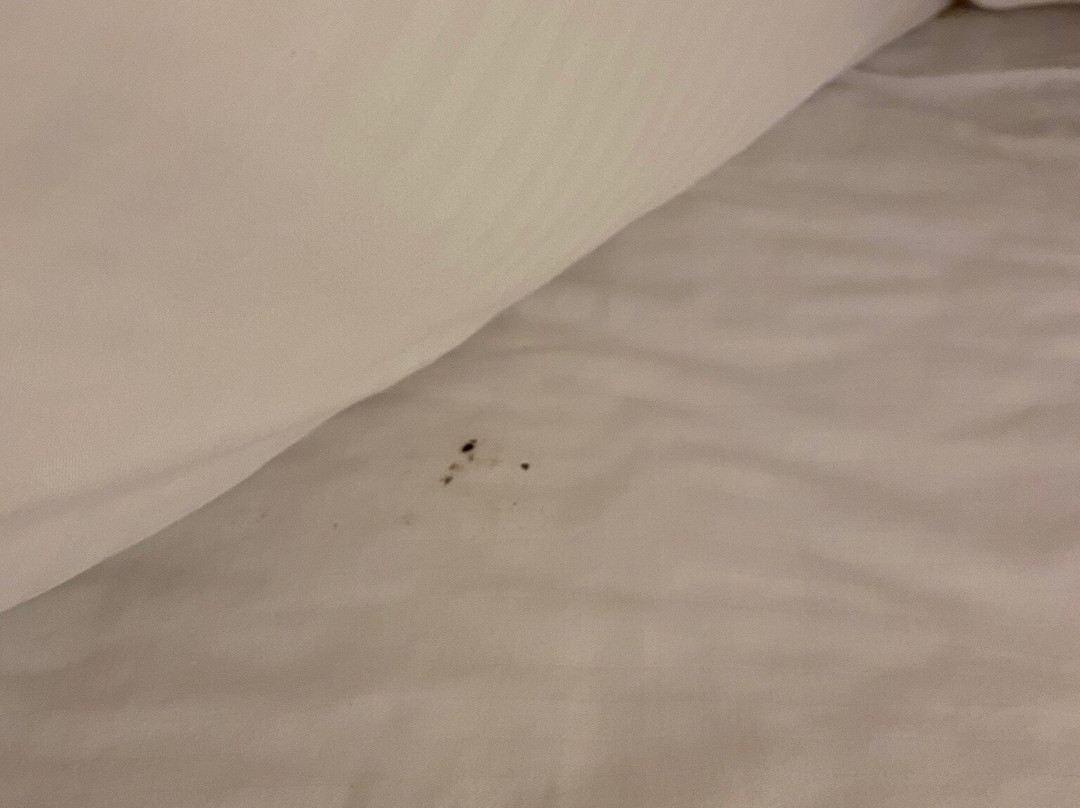 Best Western El Grande Inn主图