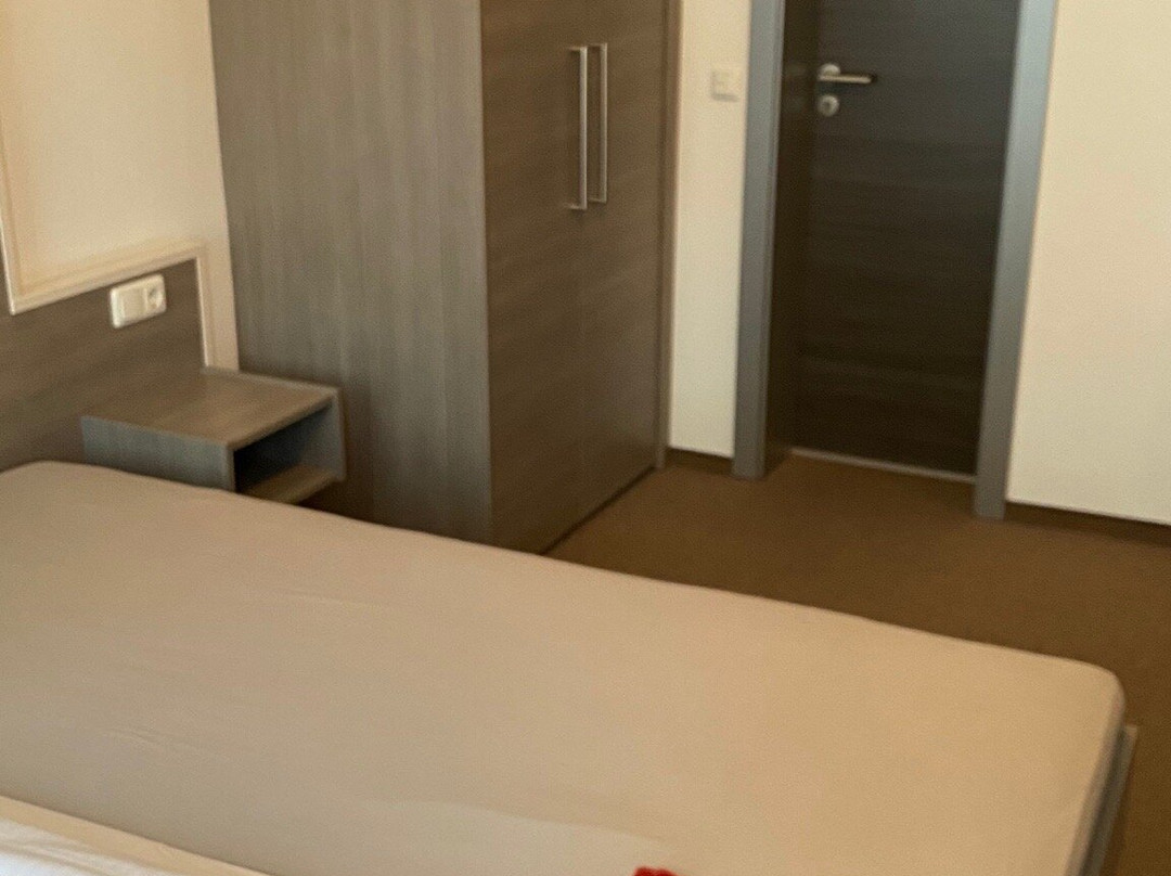 Zum Weissen Ross主图