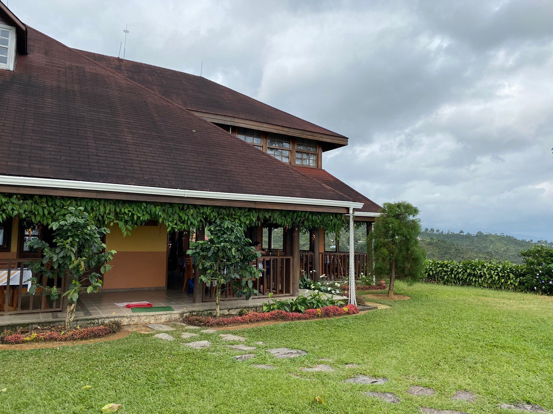 Finca Hamburgo La Ruta del Cafe主图