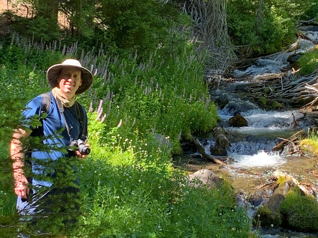 Annie Creek Canyon景点图片