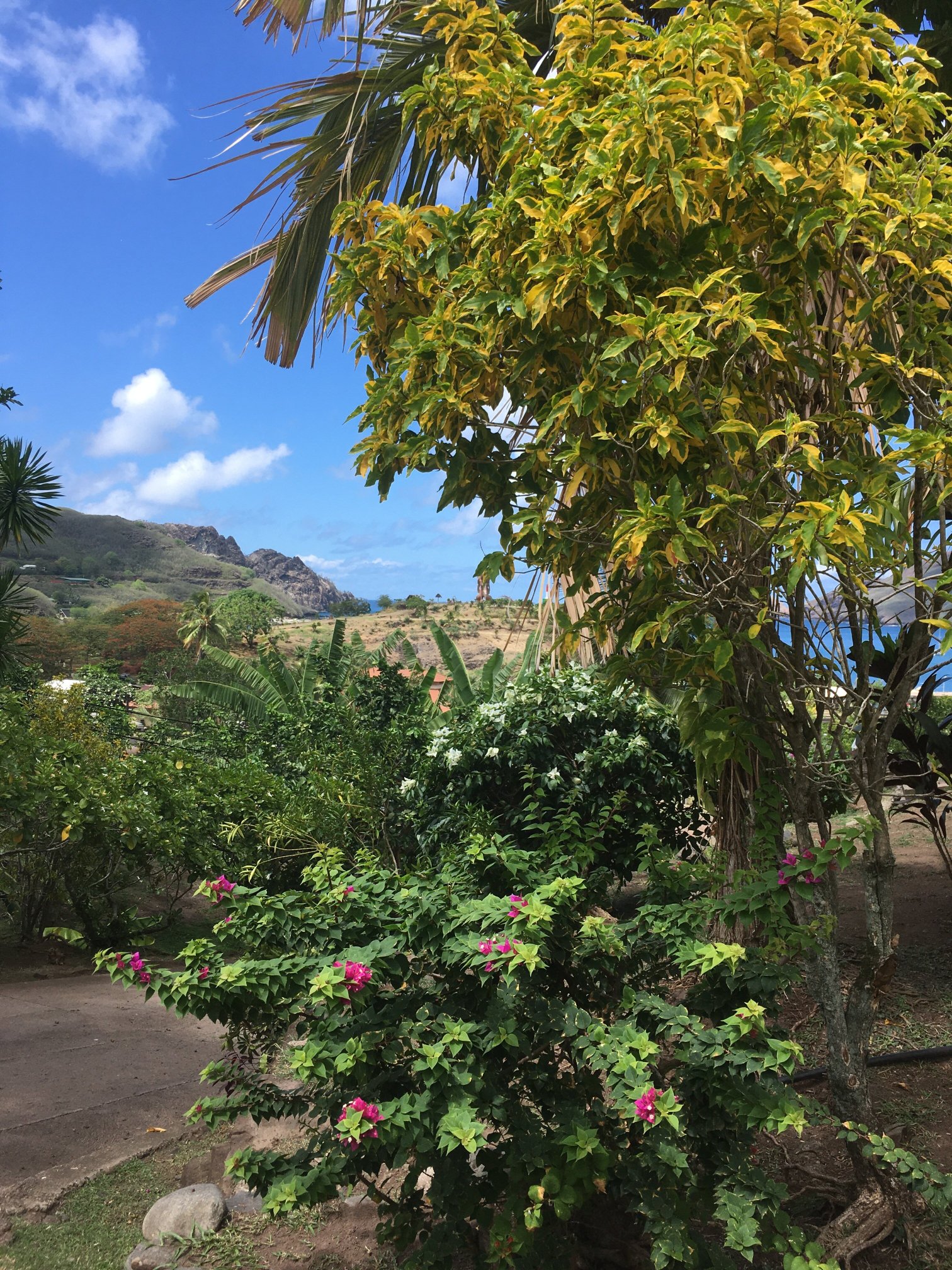 Pension Mave Mai-酒店景观