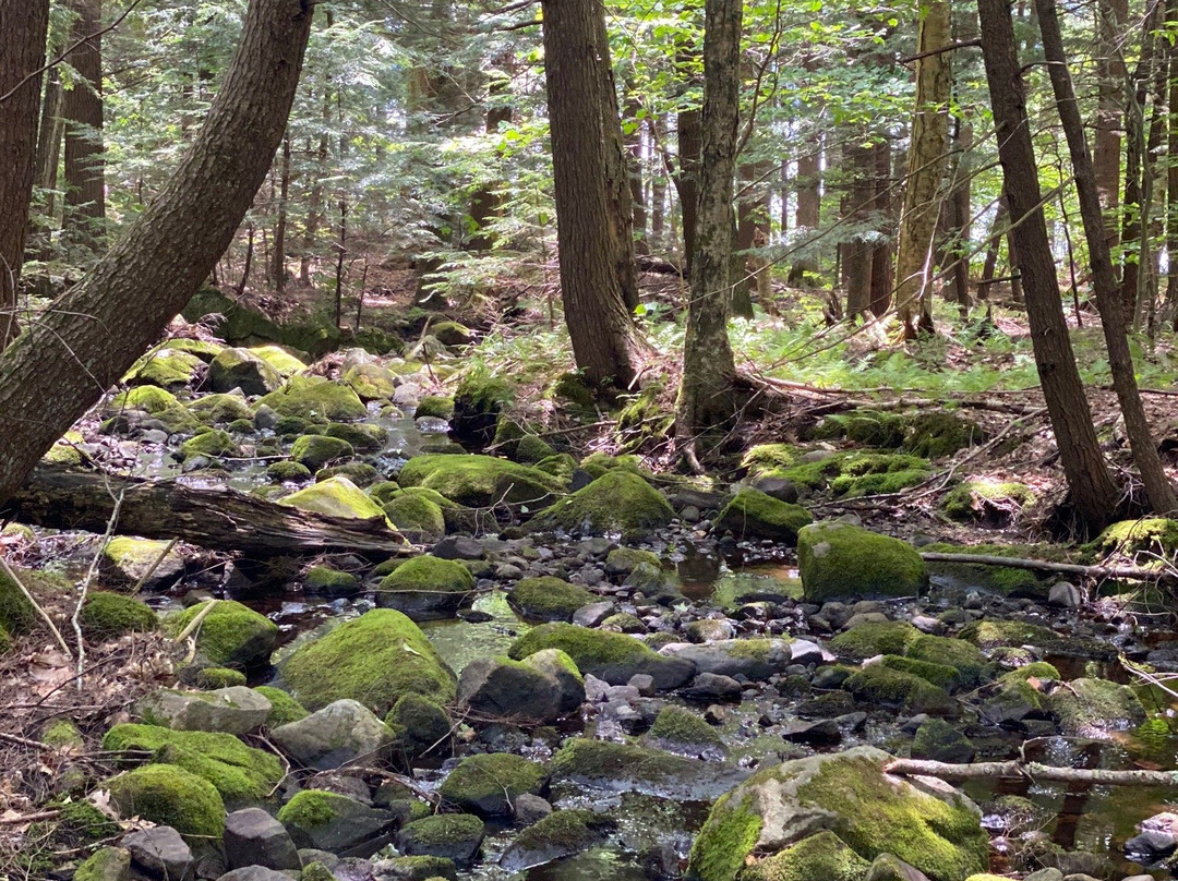 John Hay National Wildlife Refuge景点图片