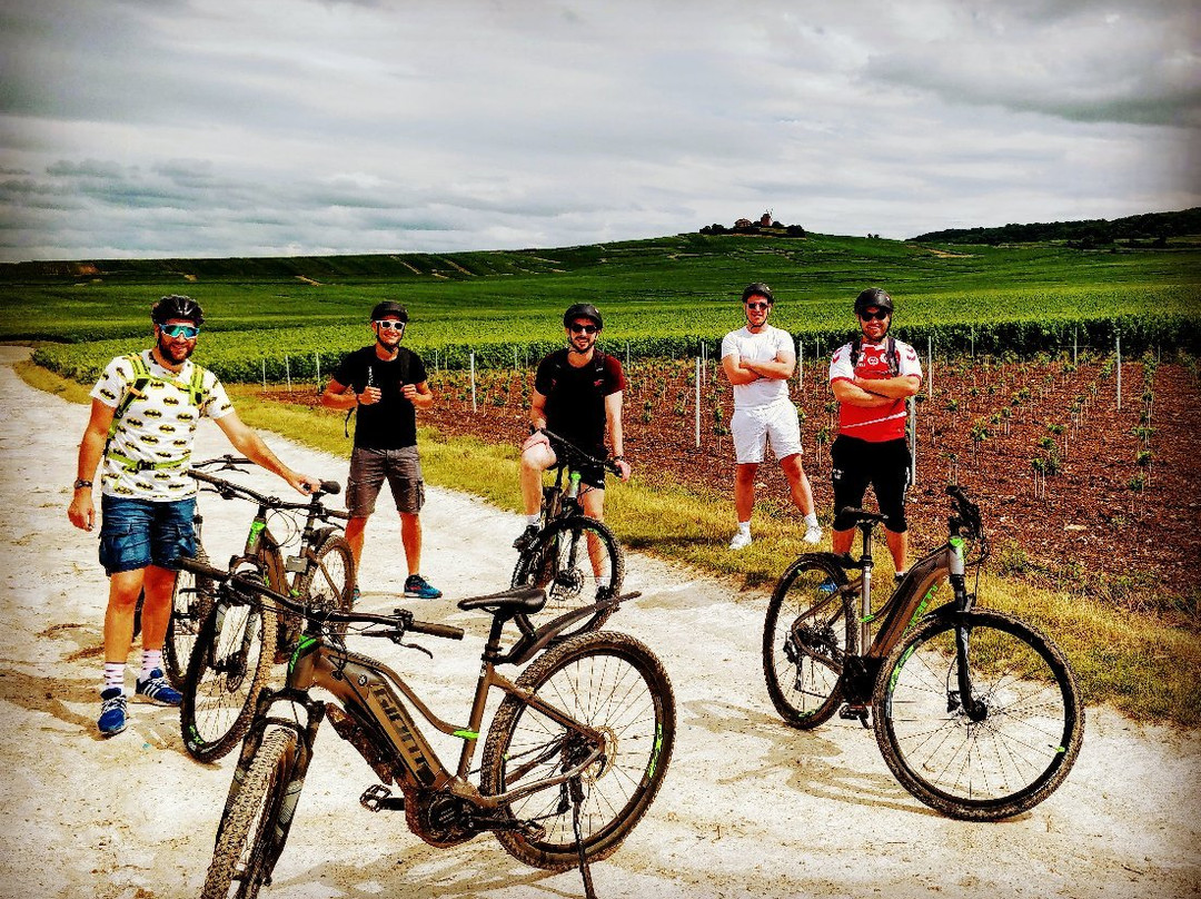 Sacre Wine Tour景点图片