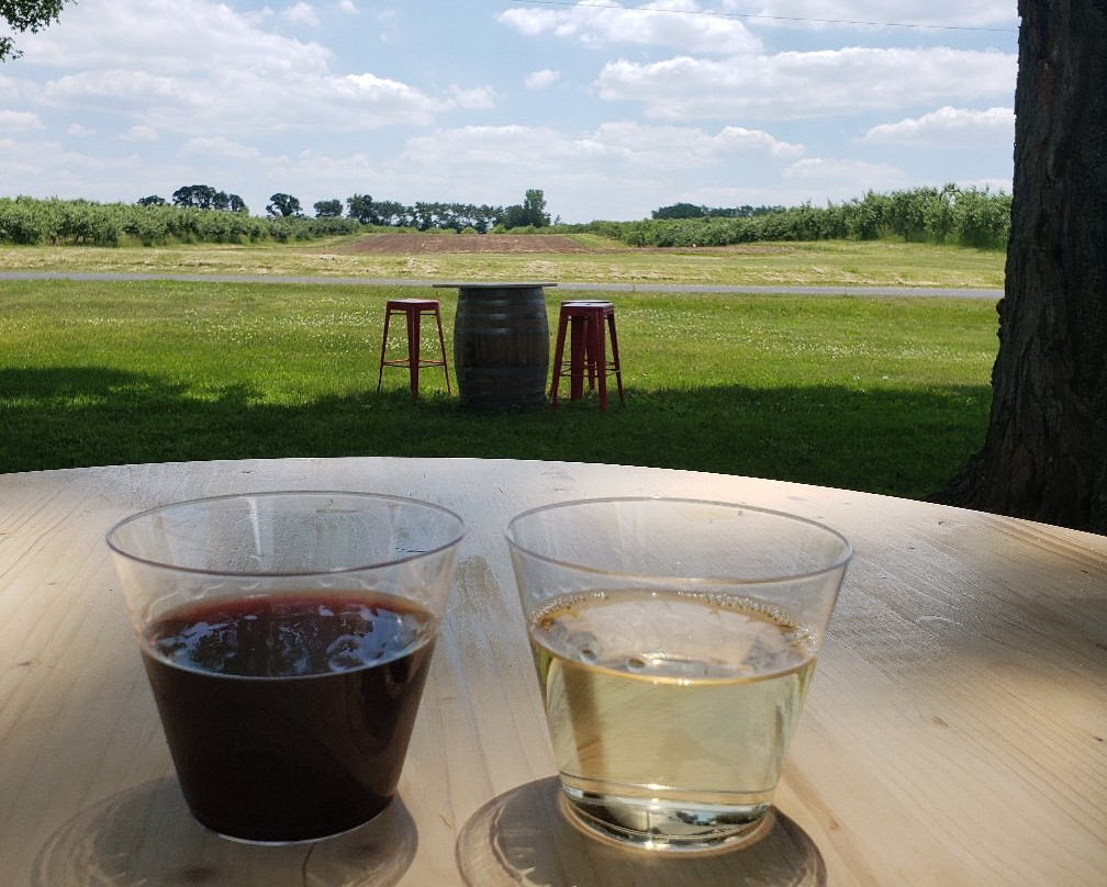 Apple Barn Orchard and Winery-Elkhorn必去景点