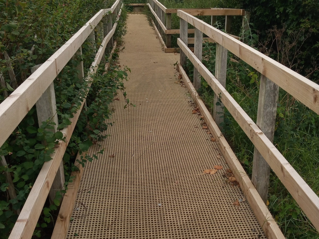 Lincolnshire Coastal Country Park-Anderby Creek必去景点