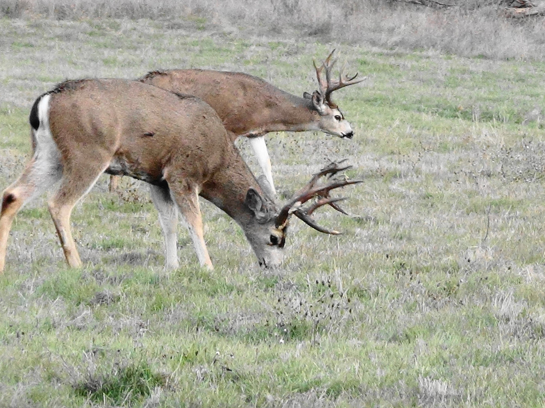 Ancil Hoffman Park-Carmichael必去景点