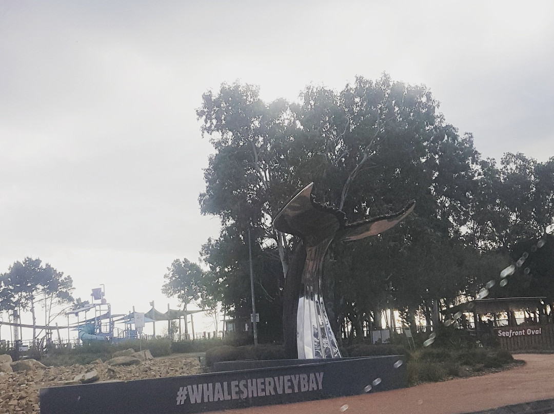 Torquay Terrace Bed & Breakfast主图