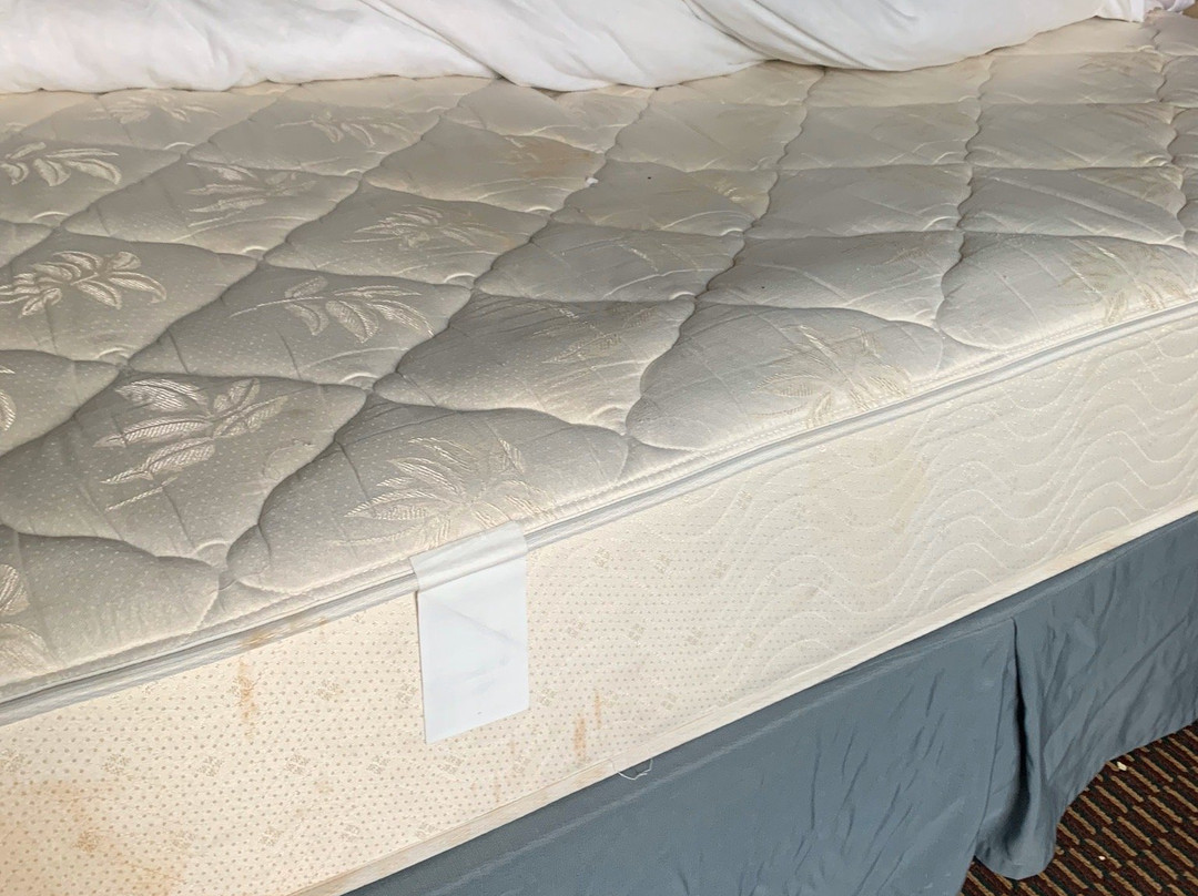 Quality Inn Morris I-80主图