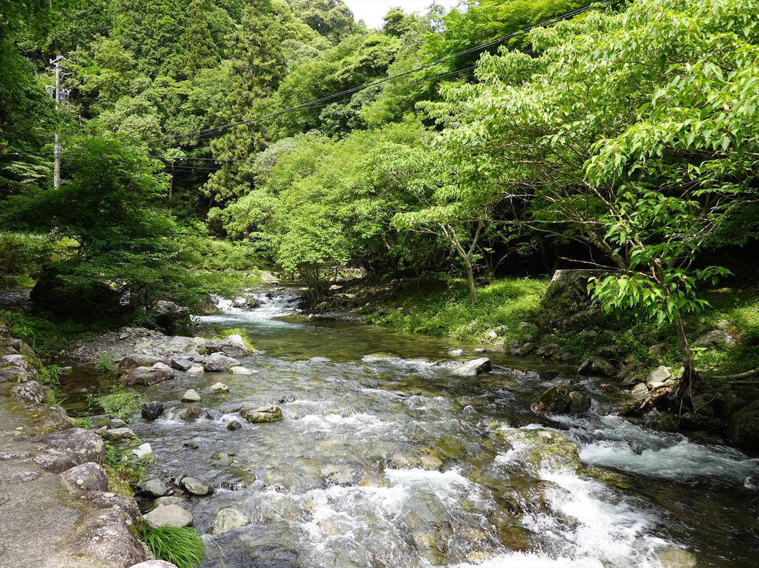 Tado Valley-桑名市必去景点