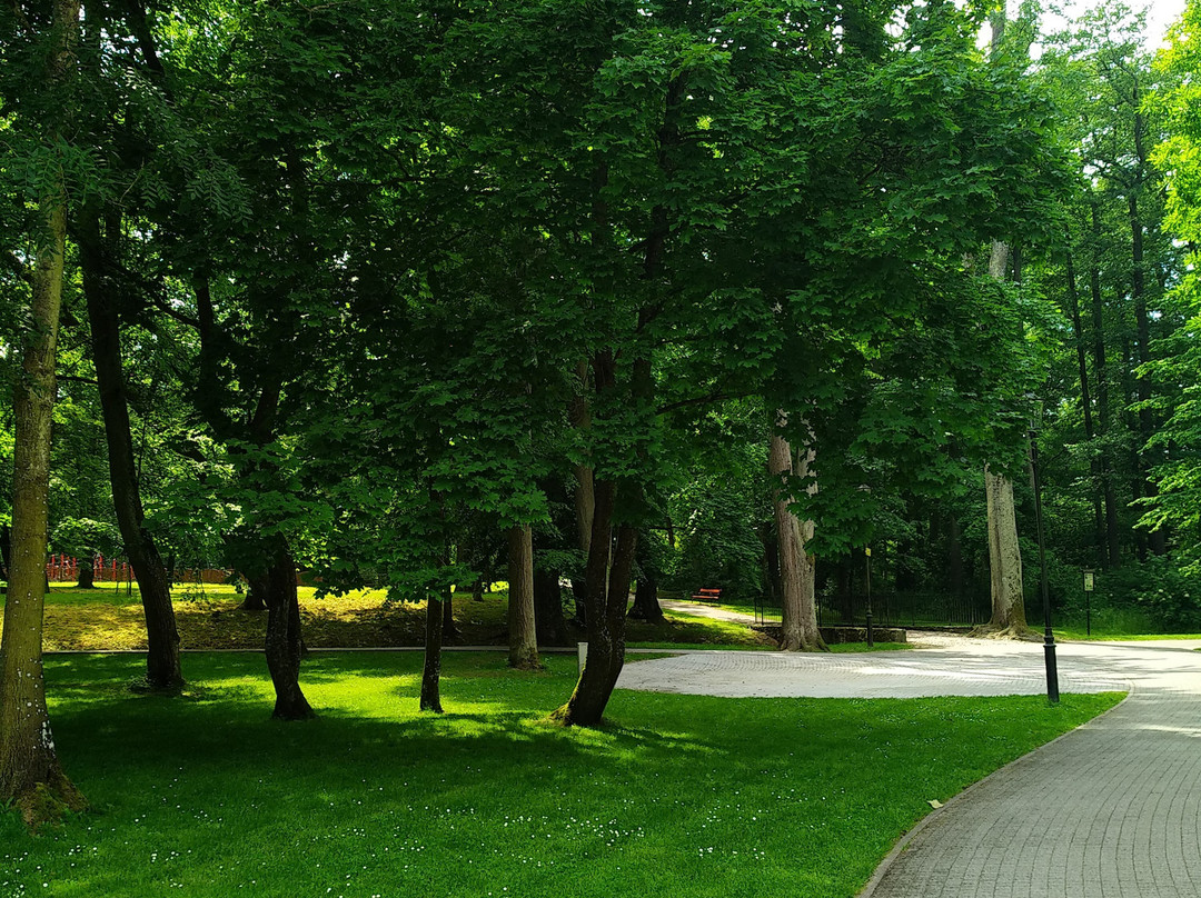 Park Miejski im. Aleksandra Majkowskiego景点图片