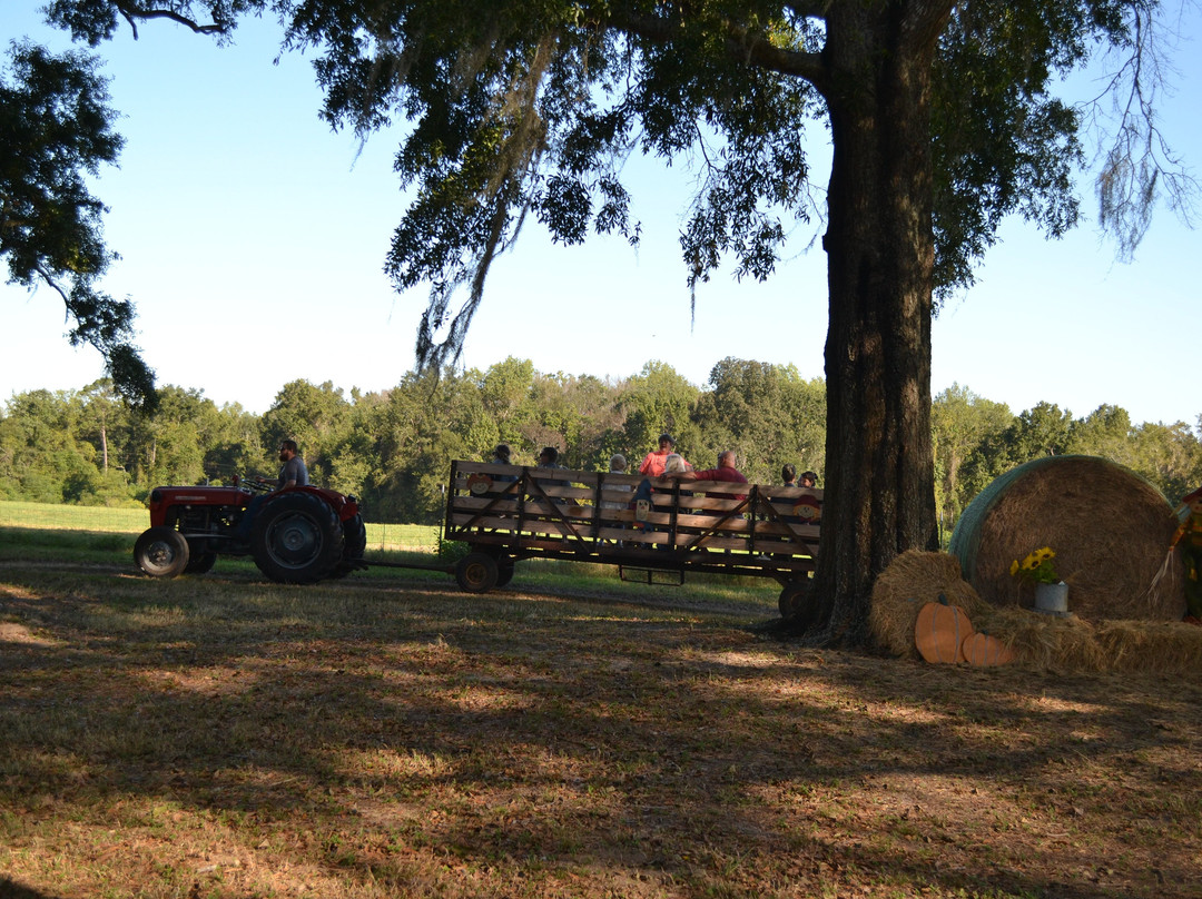 Aunt Louise's Farm景点图片