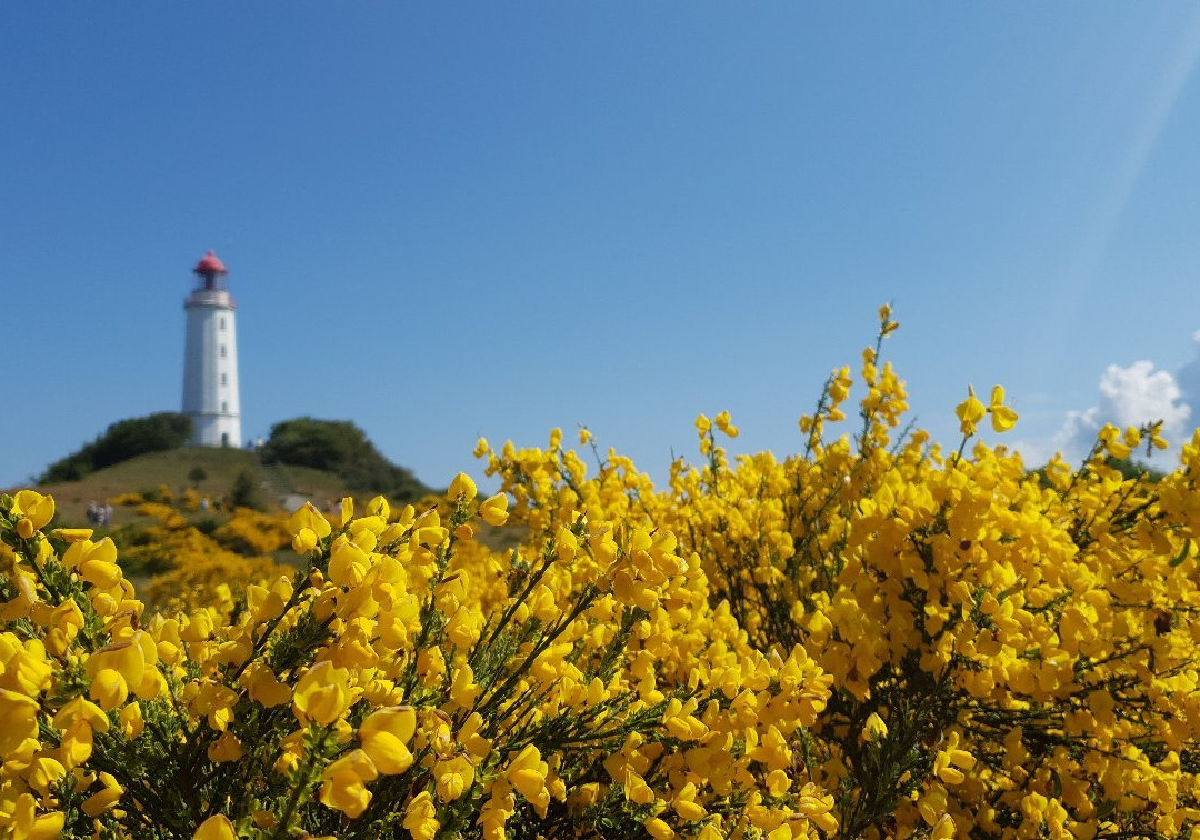 Dornbusch Lighthouse景点图片