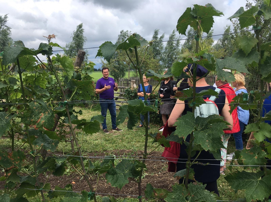 Wijndomein Buytenwaerde-Vuren必去景点