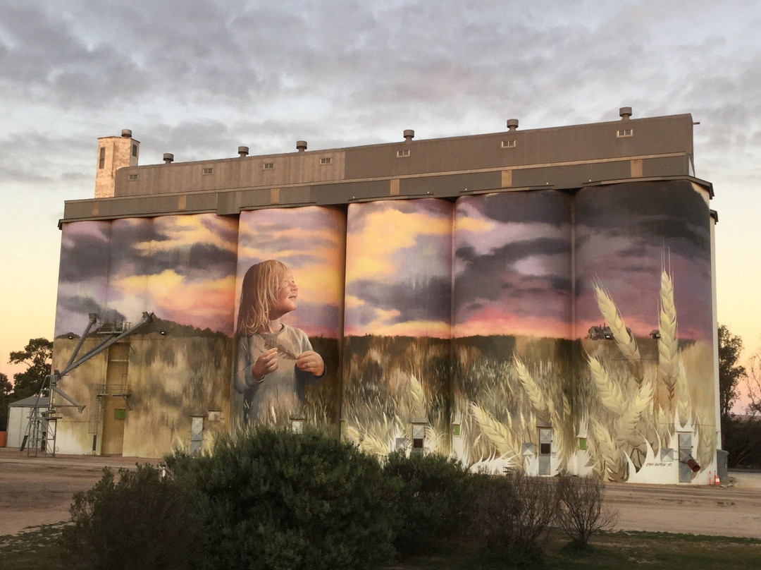 Viterra’s Kimba Silos-Kimba必去景点