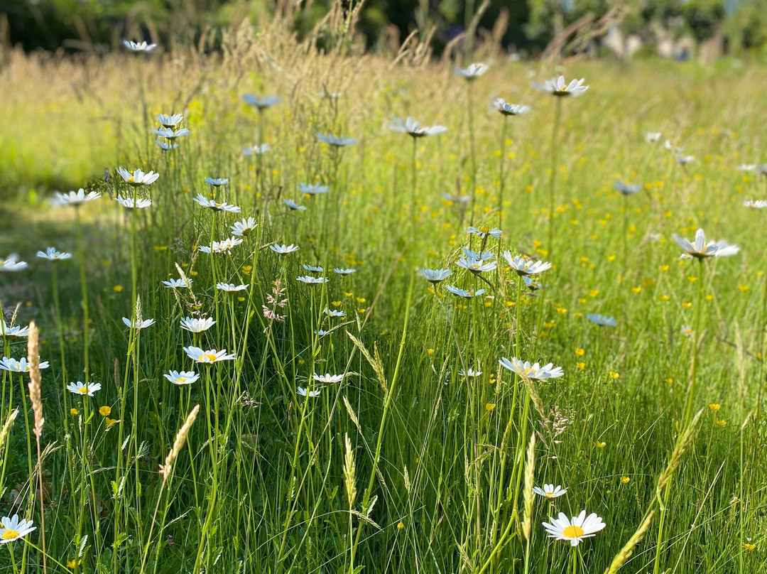 Domaine Les Bruyeres主图