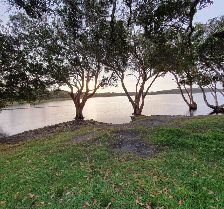 Lake Ainsworth景点图片