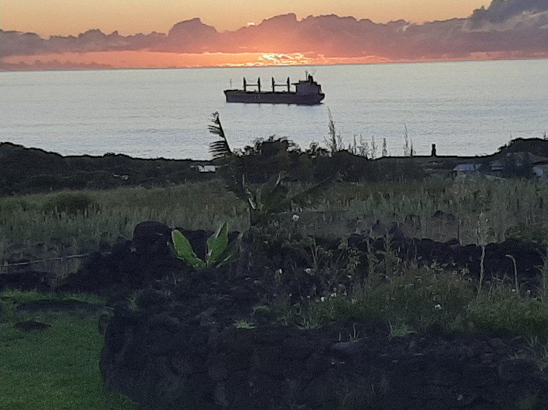 Altiplanico Rapa Nui主图