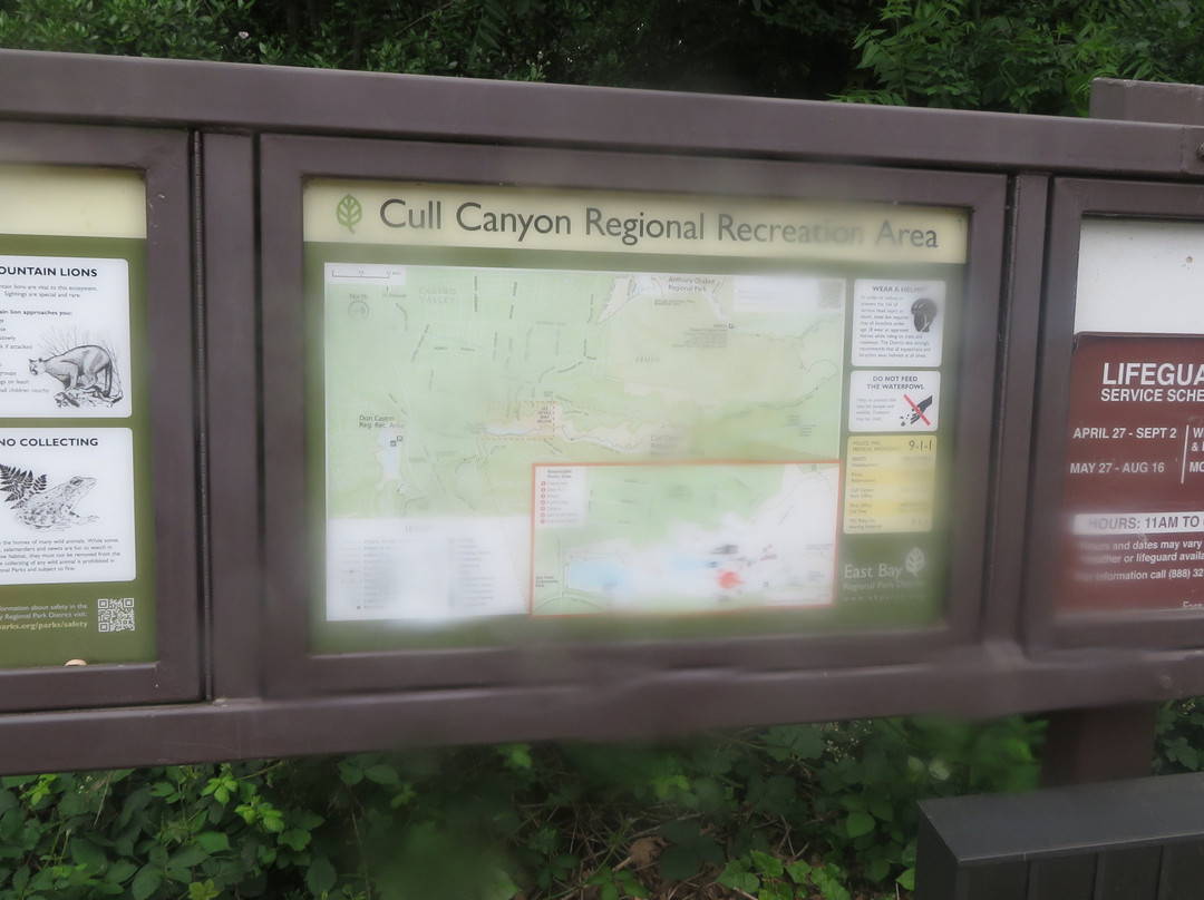 Cull Canyon Regional Recreation Area景点图片