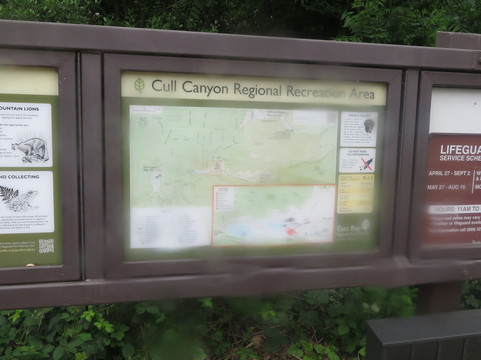 Cull Canyon Regional Recreation Area-卡斯特罗谷必去景点