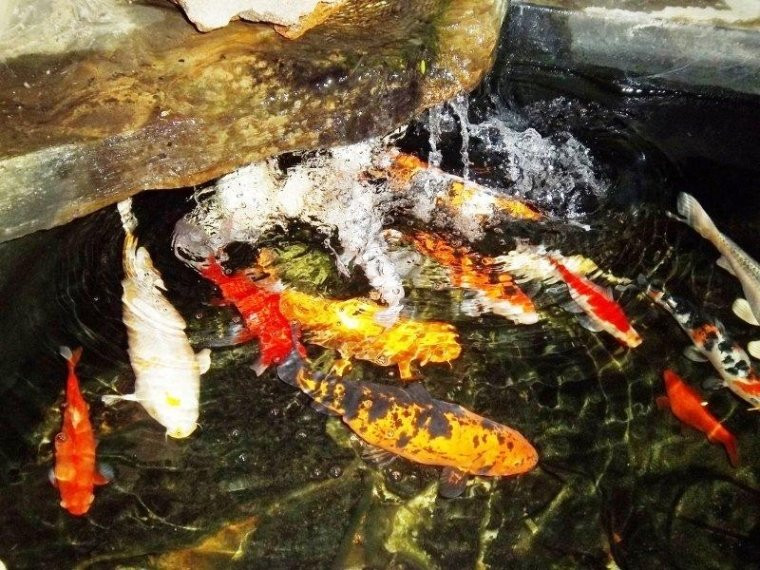 Dai Heka Boutique Guest House主图