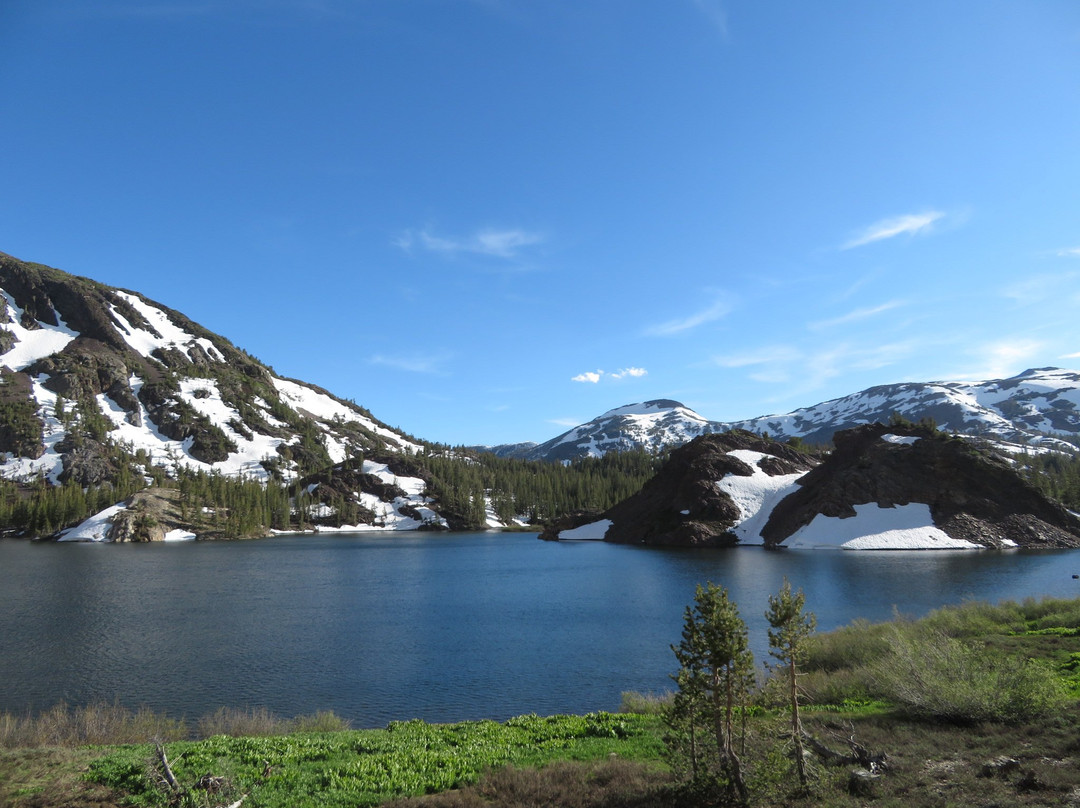 Ellery Lake Lookout-利韦宁必去景点