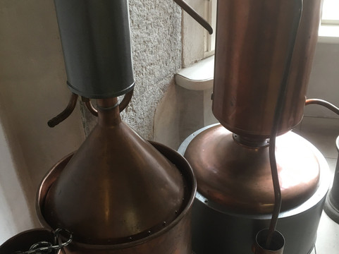 Town Hall Pharmacy-塔林必去景点