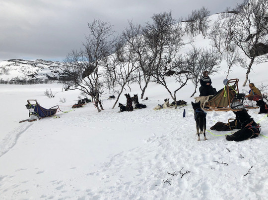 Trasti & Trine AS-阿尔塔必去景点