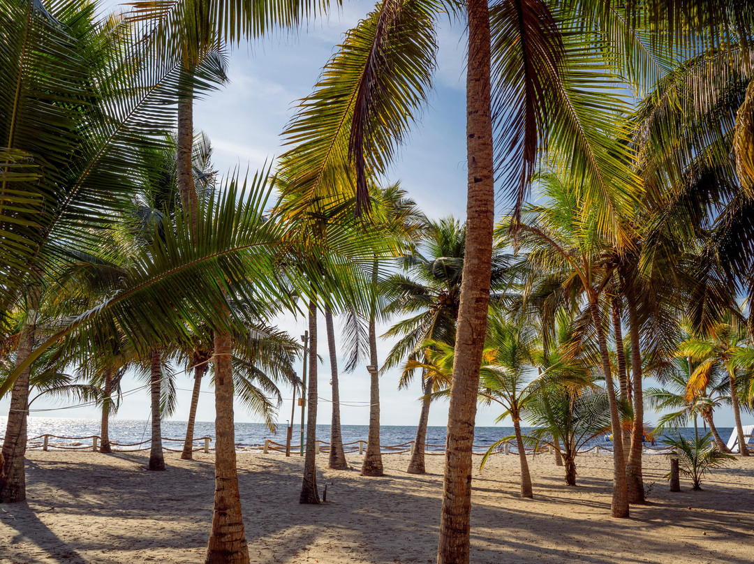Quinta del Mar El Paraiso主图