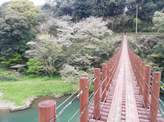 Hinokuni Bridge-冰川町必去景点