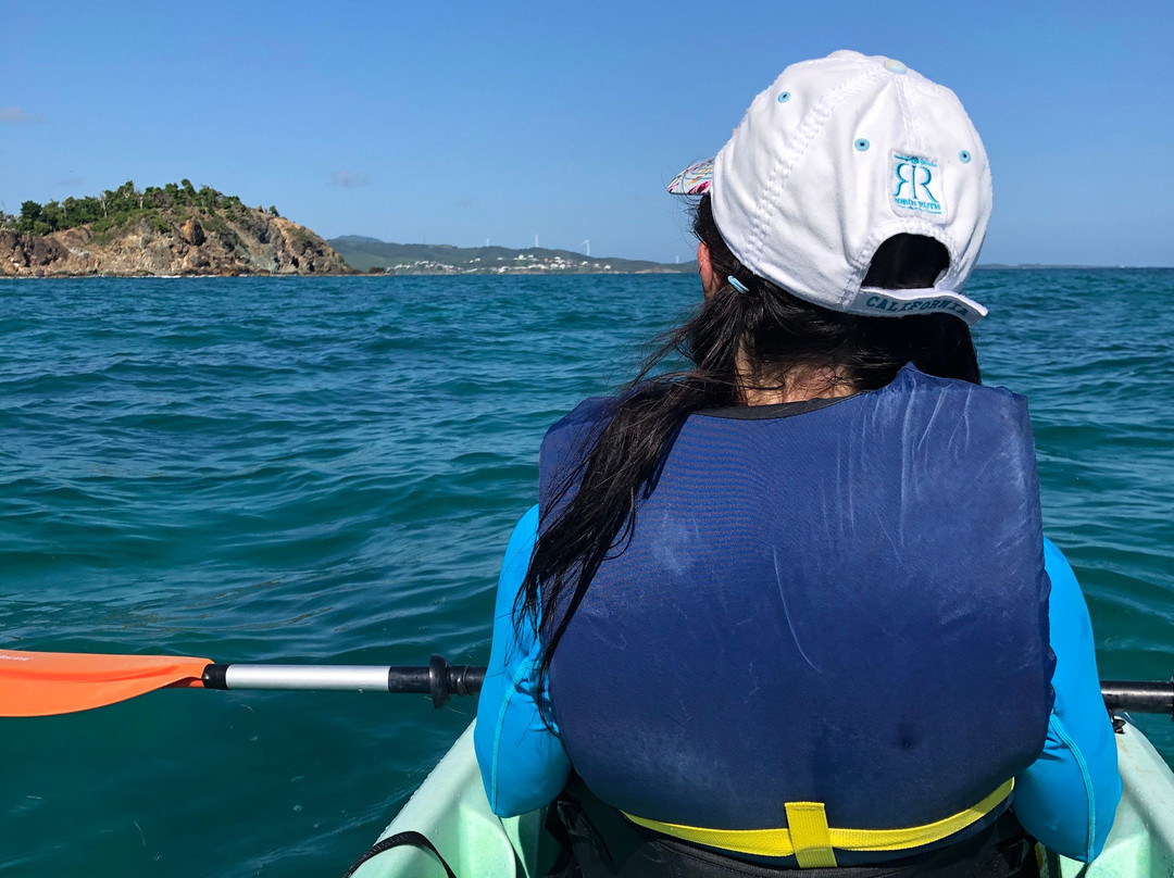 Barefoot Travelers Kayak Tour to Monkey Island景点图片