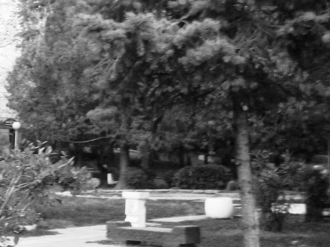 City Park景点图片