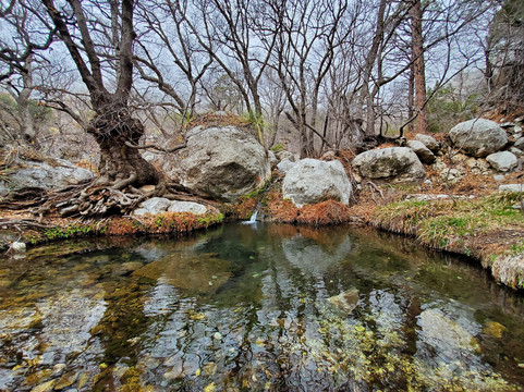 Smith Spring-Guadalupe Mountains National Park必去景点