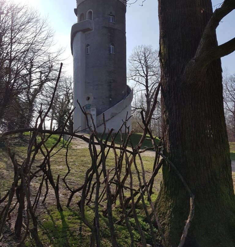 Albertturm-Wermsdorf必去景点